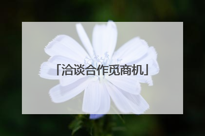 洽谈合作觅商机