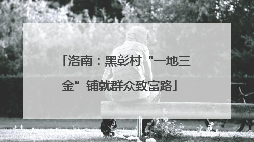 洛南：黑彰村“一地三金”铺就群众致富路