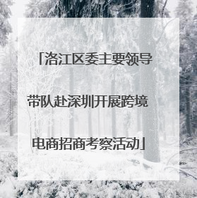 洛江区委主要领导带队赴深圳开展跨境电商招商考察活动