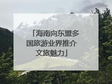 海南向东盟多国旅游业界推介文旅魅力