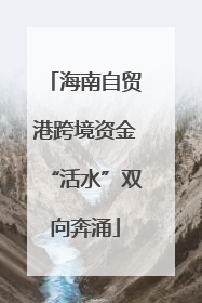 海南自贸港跨境资金“活水”双向奔涌
