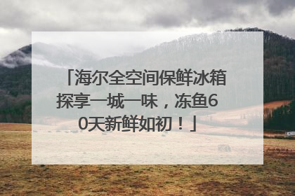 海尔全空间保鲜冰箱探享一城一味，冻鱼60天新鲜如初！