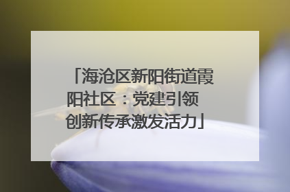 海沧区新阳街道霞阳社区：党建引领 创新传承激发活力