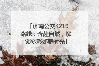 济南公交K219路线：奔赴自然，解锁多彩郊野时光