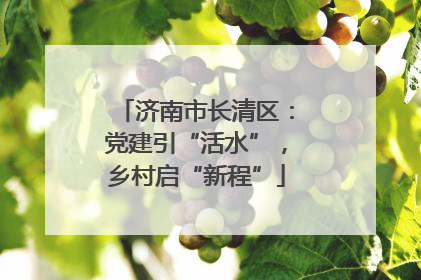 济南市长清区：党建引“活水”，乡村启“新程”