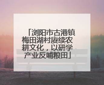 浏阳市古港镇梅田湖村赓续农耕文化，以研学产业反哺粮田