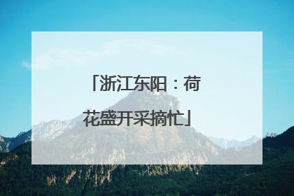 浙江东阳：荷花盛开采摘忙
