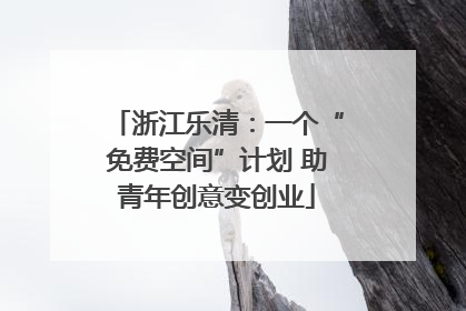 浙江乐清：一个“免费空间”计划 助青年创意变创业