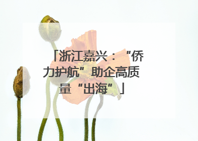 浙江嘉兴：“侨力护航”助企高质量“出海”
