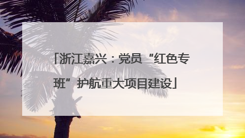 浙江嘉兴：党员“红色专班”护航重大项目建设