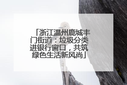 浙江温州鹿城丰门街道：垃圾分类进银行窗口，共筑绿色生活新风尚
