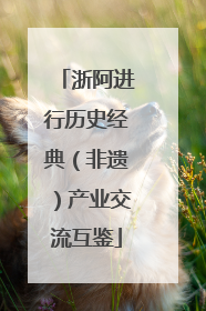 浙阿进行历史经典（非遗）产业交流互鉴