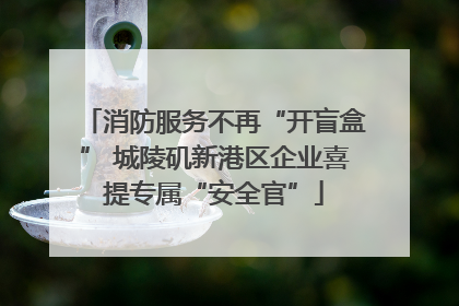 消防服务不再“开盲盒” 城陵矶新港区企业喜提专属“安全官”