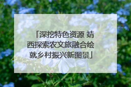 深挖特色资源 靖西探索农文旅融合绘就乡村振兴新图景