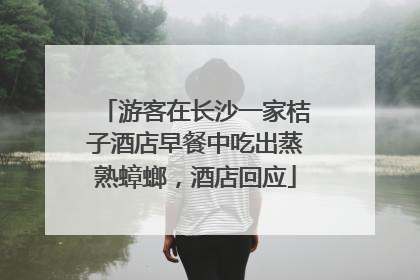游客在长沙一家桔子酒店早餐中吃出蒸熟蟑螂，酒店回应