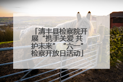 清丰县检察院开展“携手关爱 共护未来”“六一”检察开放日活动