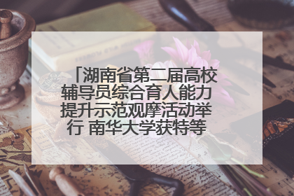 湖南省第二届高校辅导员综合育人能力提升示范观摩活动举行 南华大学获特等奖和一等奖