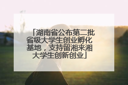 湖南省公布第二批省级大学生创业孵化基地，支持留湘来湘大学生创新创业