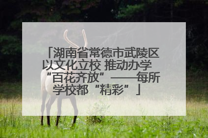 湖南省常德市武陵区以文化立校 推动办学“百花齐放”——每所学校都“精彩”
