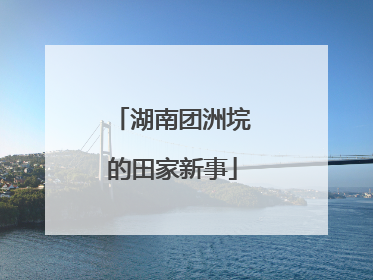 湖南团洲垸的田家新事