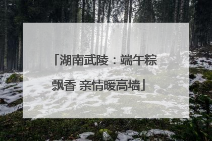 湖南武陵：端午粽飘香 亲情暖高墙