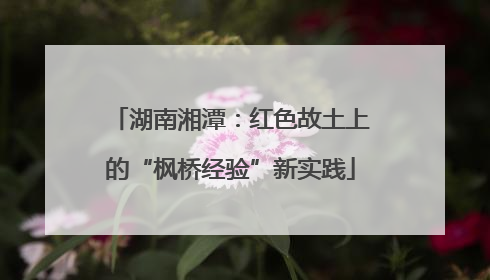 湖南湘潭：红色故土上的“枫桥经验”新实践
