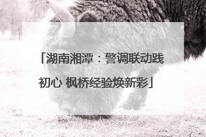 湖南湘潭：警调联动践初心 枫桥经验焕新彩