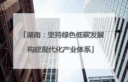 湖南：坚持绿色低碳发展 构建现代化产业体系