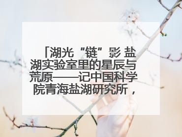 湖光“链”影 盐湖实验室里的星辰与荒原——记中国科学院青海盐湖研究所，盐湖资源化学实验室党总支书记、副主任刘忠
