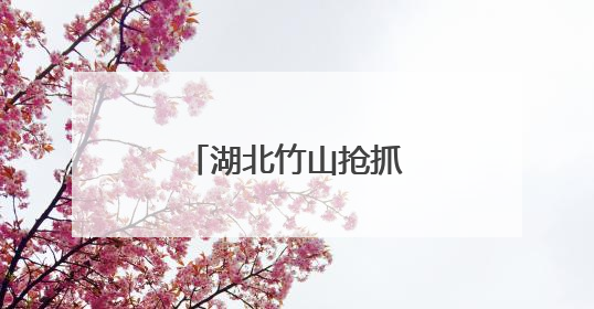 湖北竹山抢抓墒情忙夏种