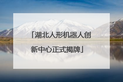 湖北人形机器人创新中心正式揭牌