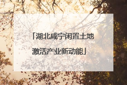 湖北咸宁闲置土地激活产业新动能