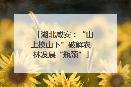 湖北咸安：“山上换山下”破解农林发展“瓶颈”