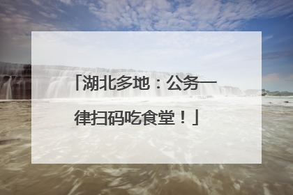 湖北多地：公务一律扫码吃食堂！