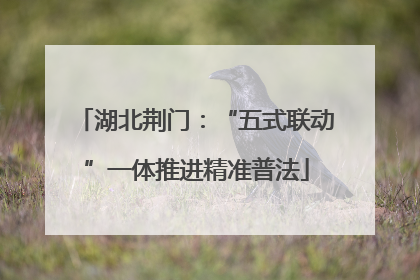 湖北荆门：“五式联动”一体推进精准普法