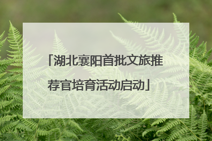 湖北襄阳首批文旅推荐官培育活动启动