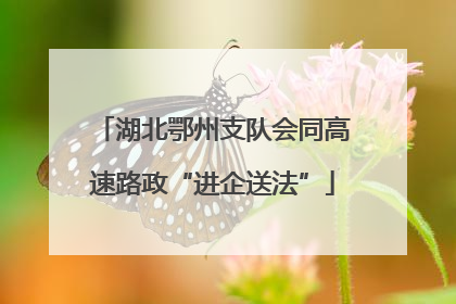 湖北鄂州支队会同高速路政“进企送法”
