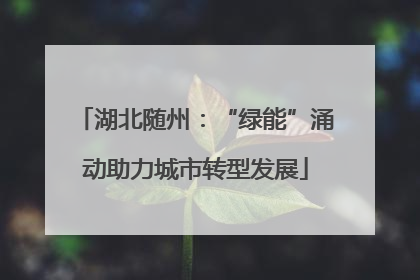 湖北随州：“绿能”涌动助力城市转型发展