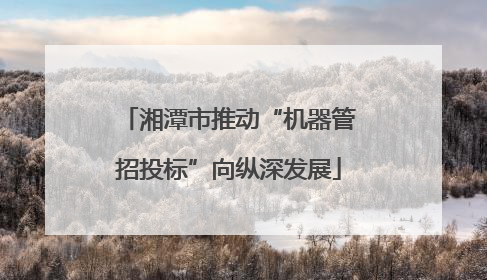 湘潭市推动“机器管招投标”向纵深发展