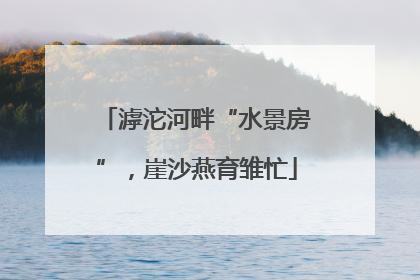 滹沱河畔“水景房”，崖沙燕育雏忙