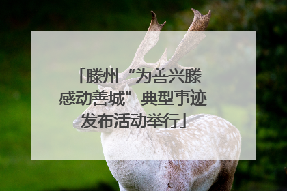 滕州“为善兴滕 感动善城”典型事迹发布活动举行