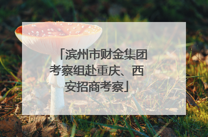 滨州市财金集团考察组赴重庆、西安招商考察