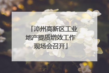 漳州高新区工业地产提质增效工作现场会召开