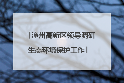 漳州高新区领导调研生态环境保护工作