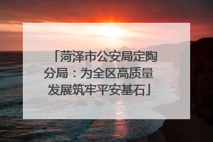 菏泽市公安局定陶分局：为全区高质量发展筑牢平安基石