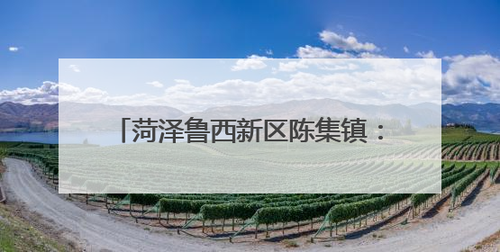 菏泽鲁西新区陈集镇：“四位一体”织密禁烧网 绘就生态新画卷
