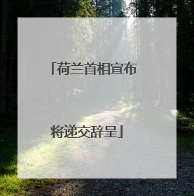 荷兰首相宣布将递交辞呈