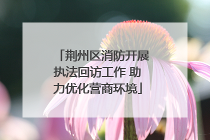 荆州区消防开展执法回访工作 助力优化营商环境