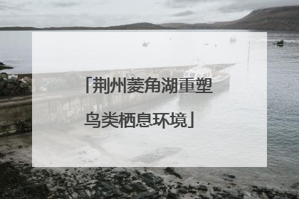 荆州菱角湖重塑鸟类栖息环境