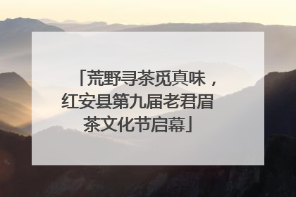 荒野寻茶觅真味，红安县第九届老君眉茶文化节启幕